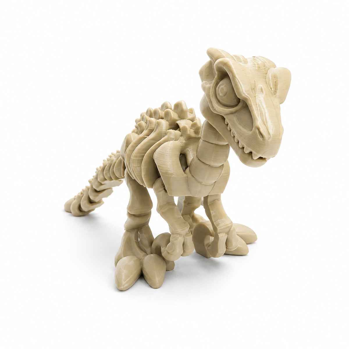 Articulated Velociraptor Skeleton