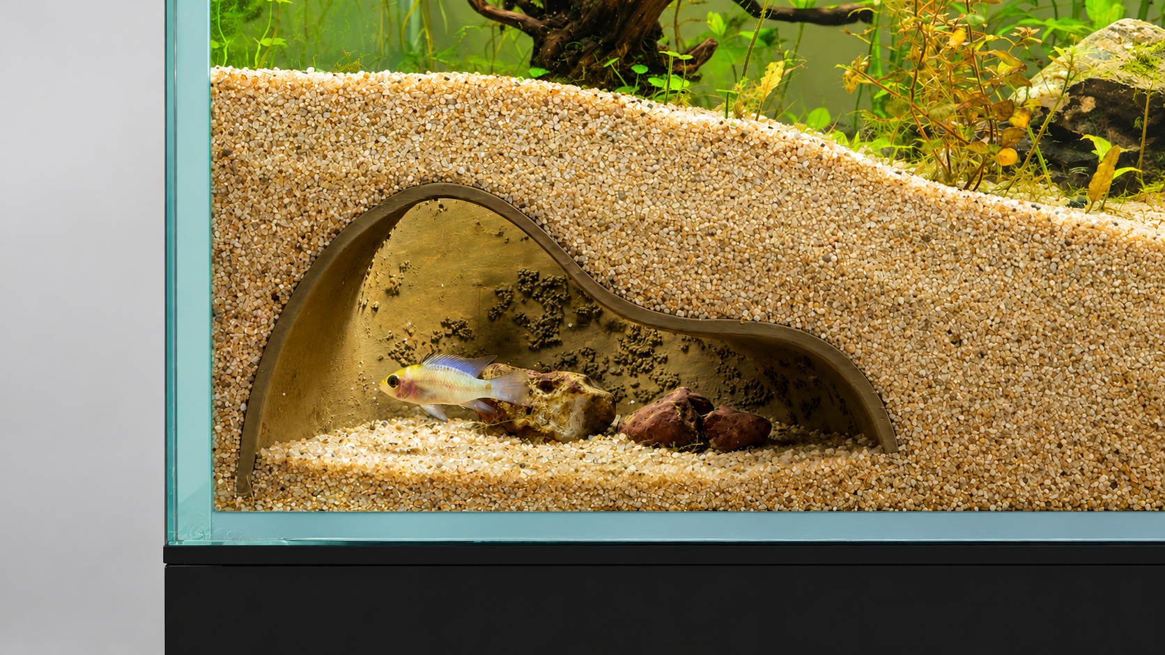 Aquarium cave
