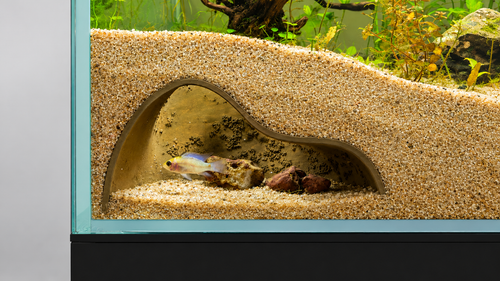 Aquarium cave