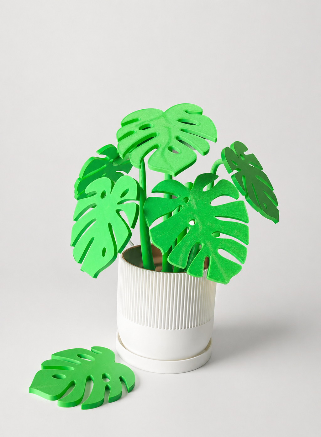 Monstera coaster set