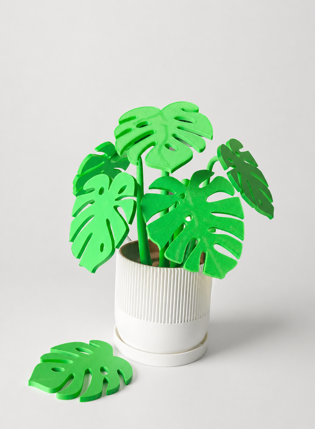 Monstera coaster set