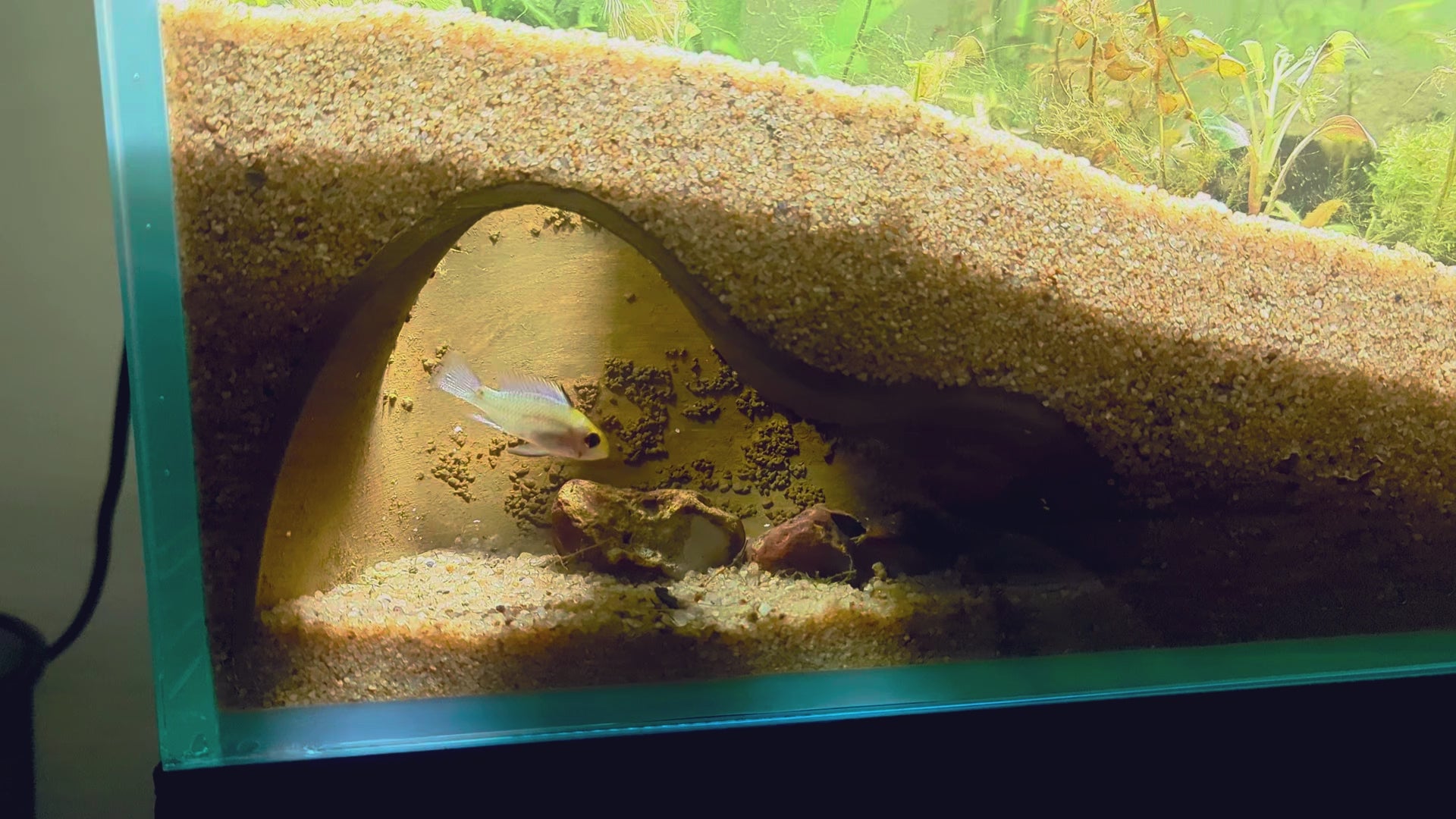 Aquarium cave