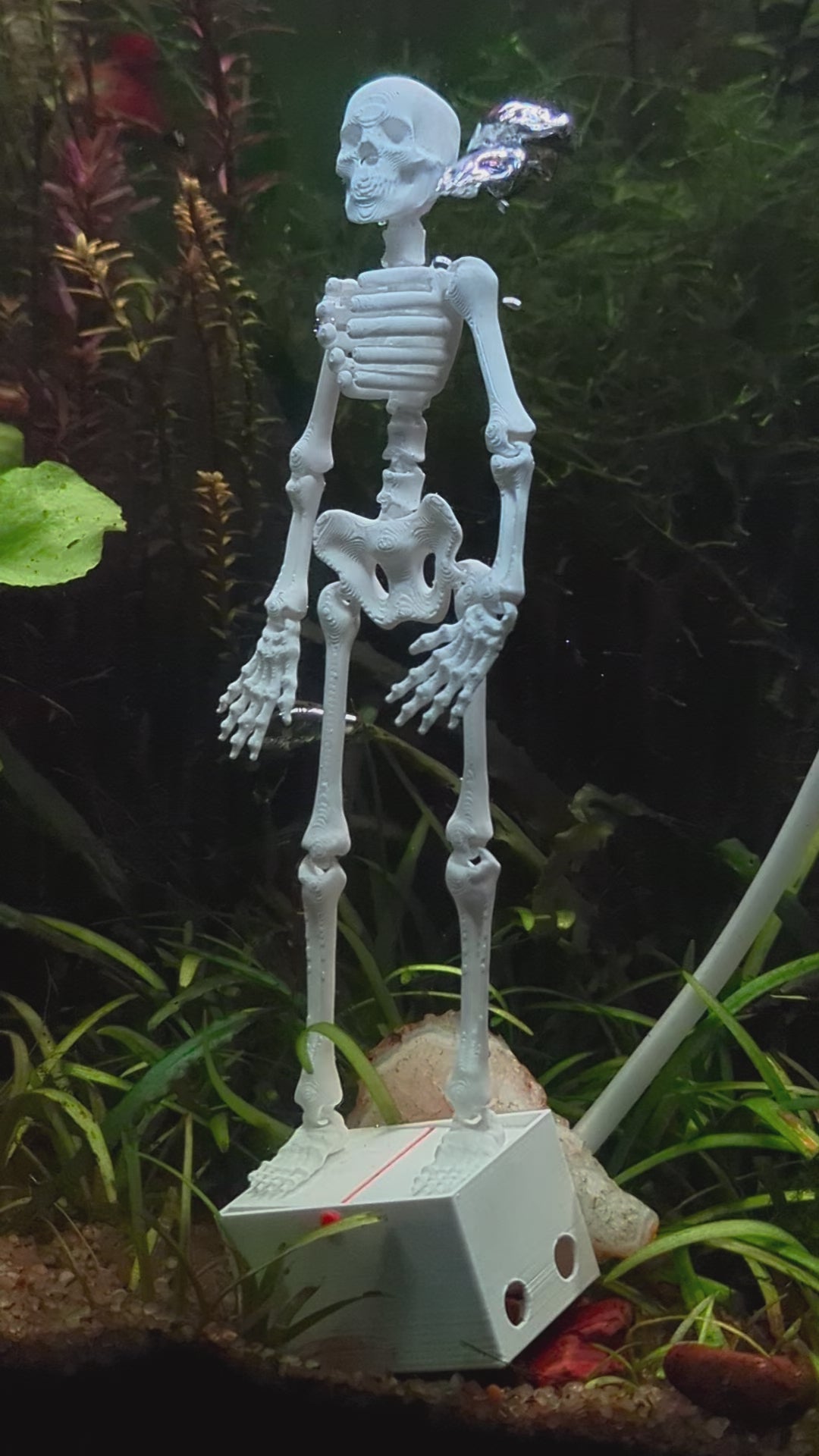 Dancing Skeleton Aquarium Bubble Ornament