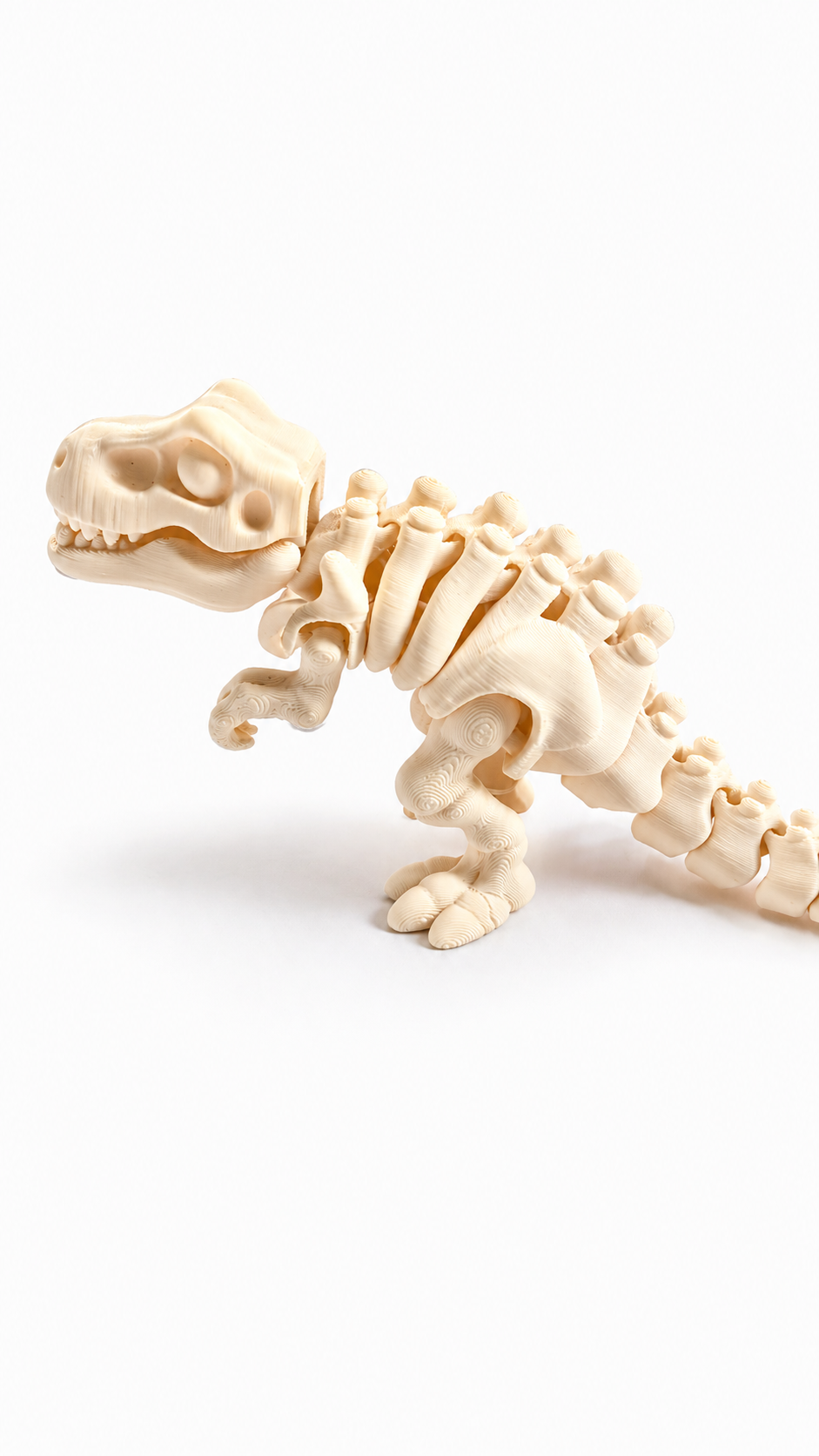 T-rex skeleton