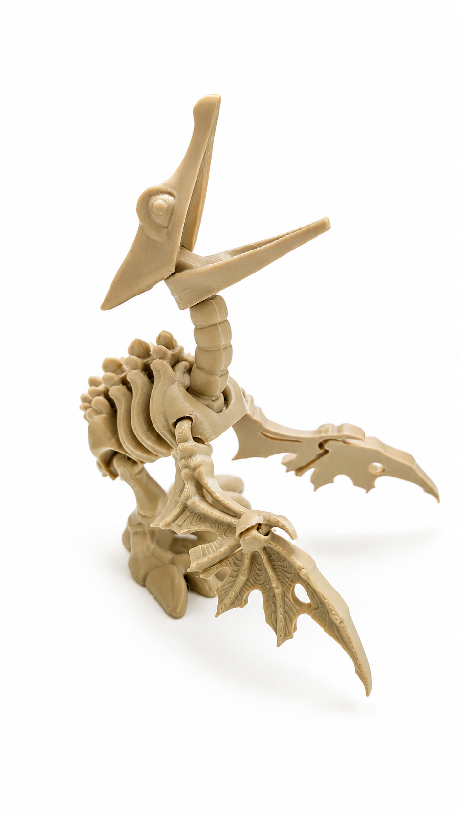 Articulated Pteranodon Skeleton