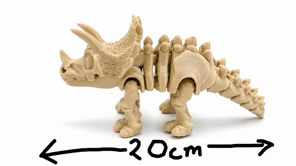 Articulated Triceratops Skeleton