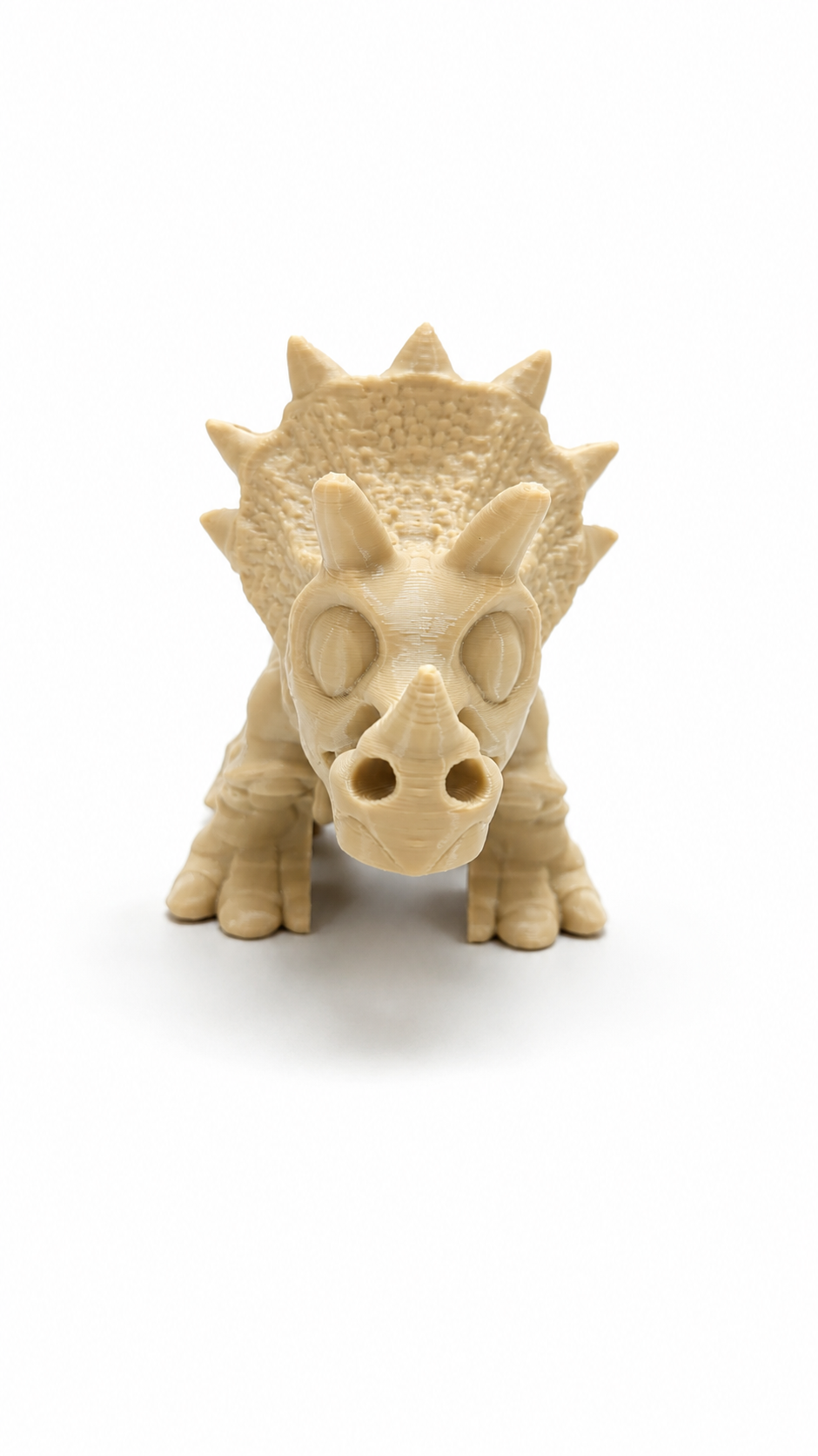 Articulated Triceratops Skeleton