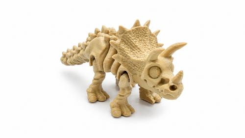 Articulated Triceratops Skeleton