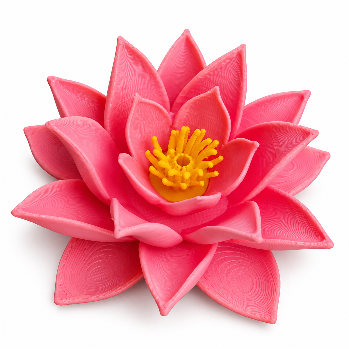 Floating Lotus Flower