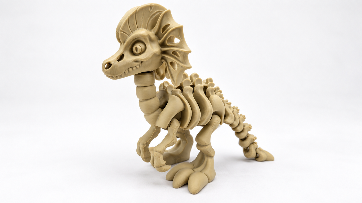 Articulated Dilophosaurus Skeleton