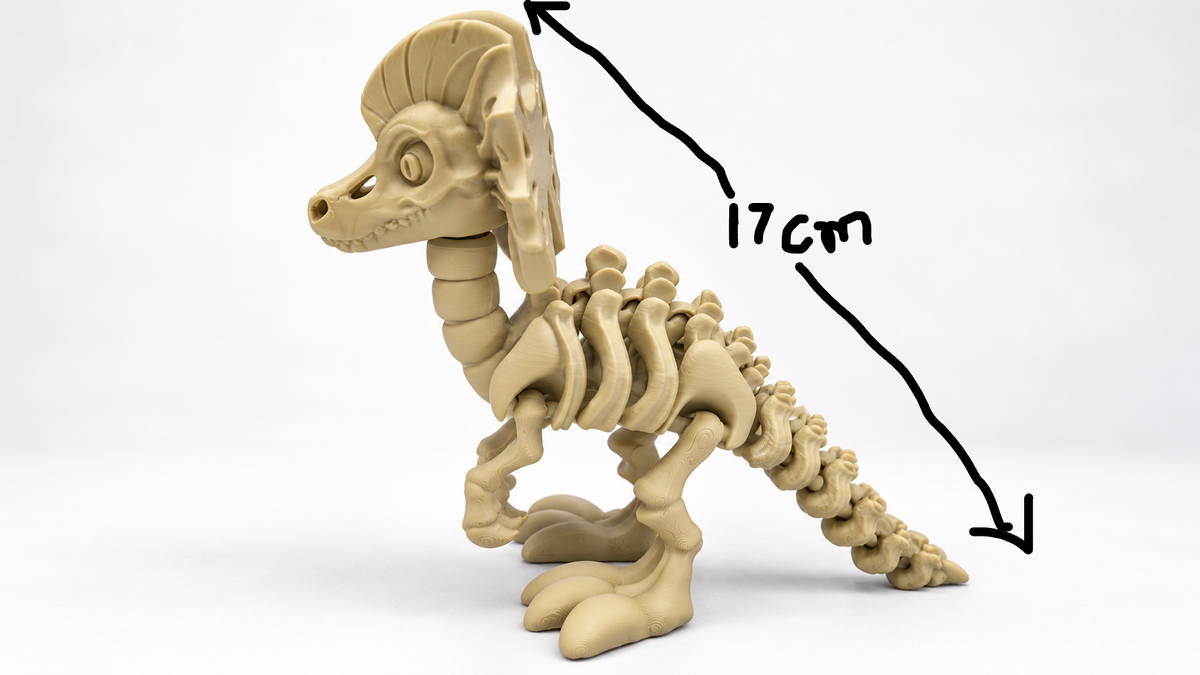 Articulated Dilophosaurus Skeleton
