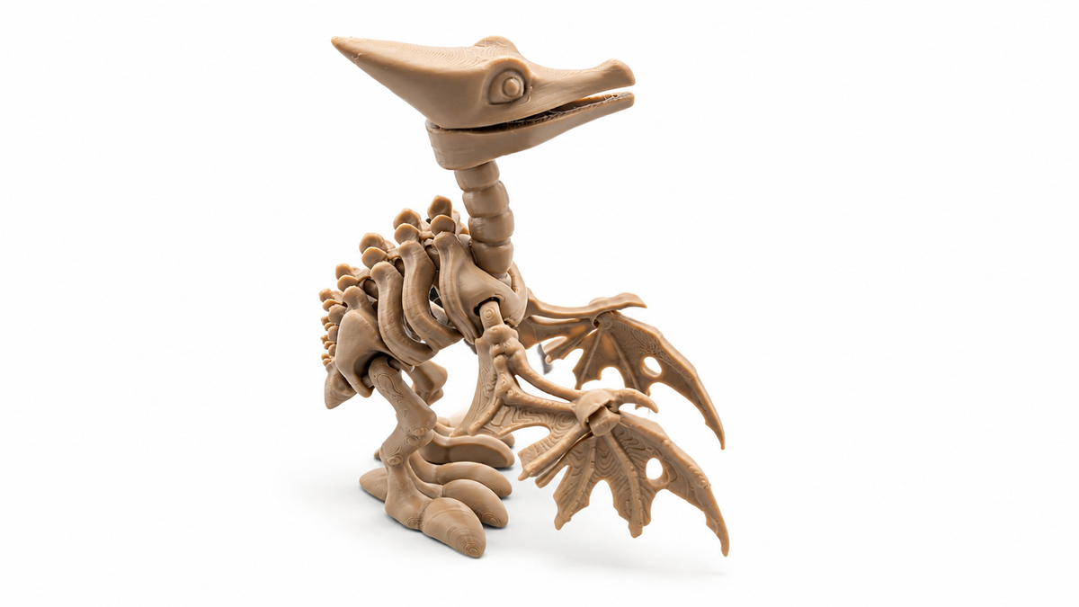 Articulated Pteranodon Skeleton