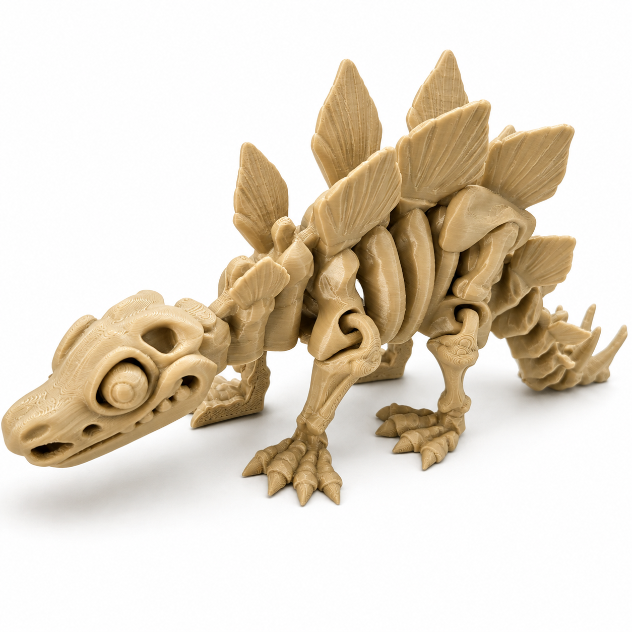 Articulated Stegosaurus Skeleton