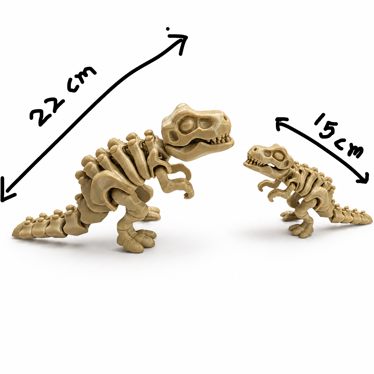 T-rex skeleton