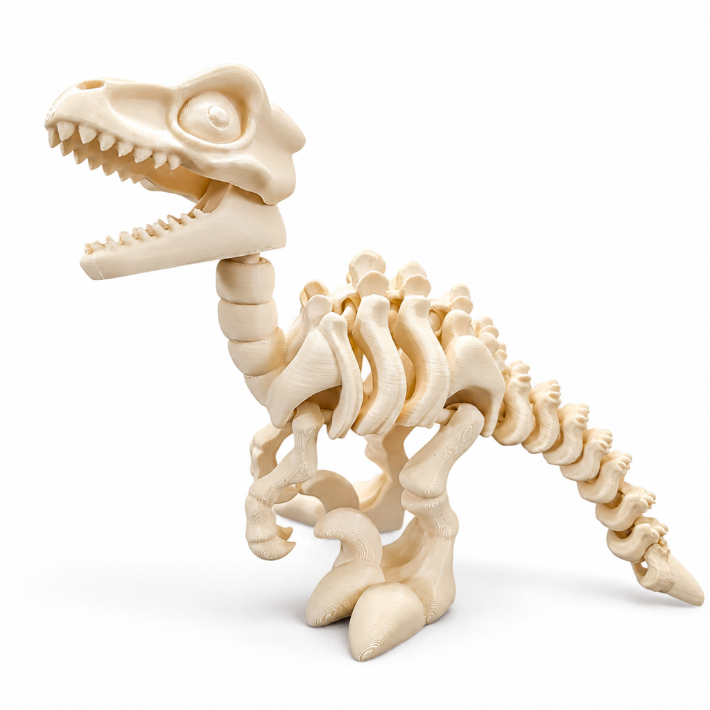 Articulated Velociraptor Skeleton