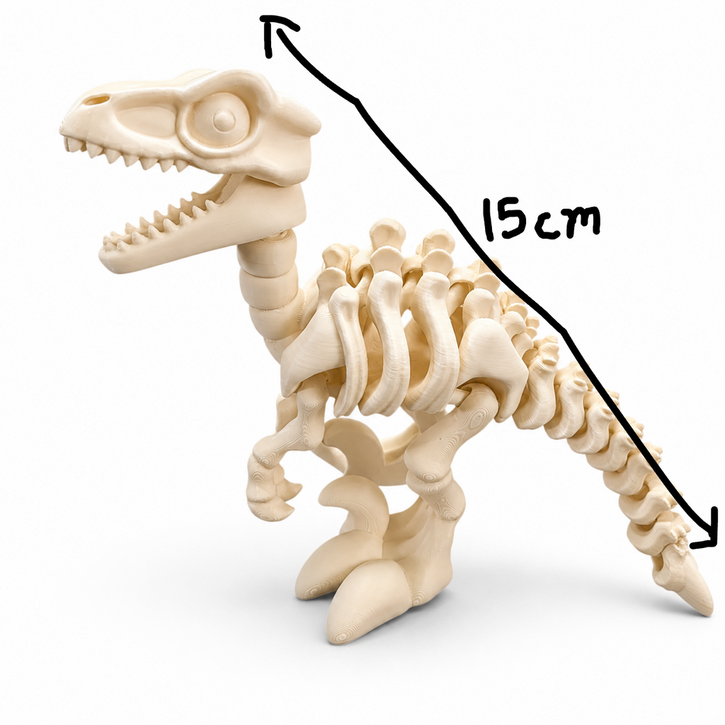 Articulated Velociraptor Skeleton