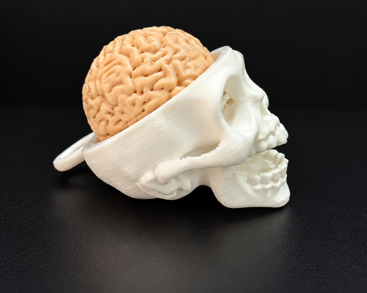 Skull Brain Clicker Keychain