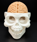 Skull Brain Clicker Keychain