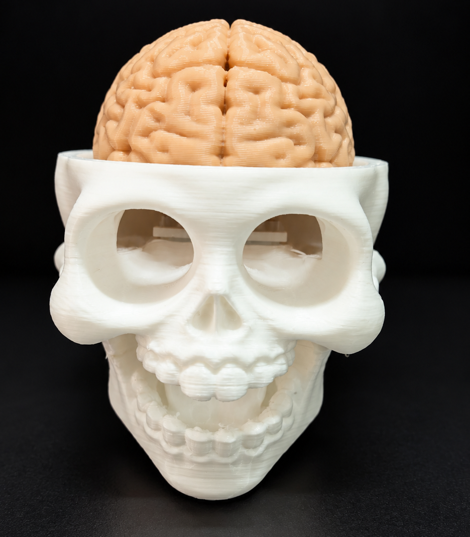 Skull Brain Clicker Keychain