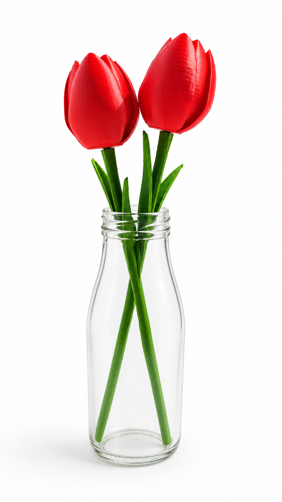Tulip single Flower